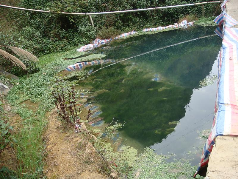 下廠自然村飲用水塘