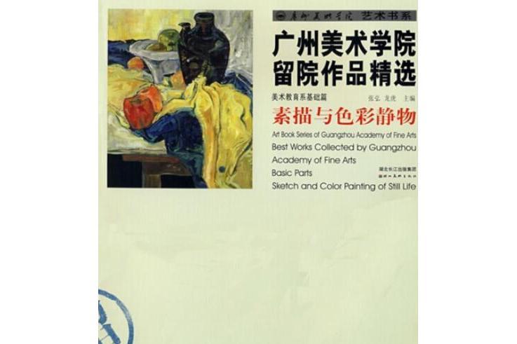 素描與色彩靜物(2008年湖北美術出版社出版的圖書)