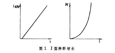 種群動態P