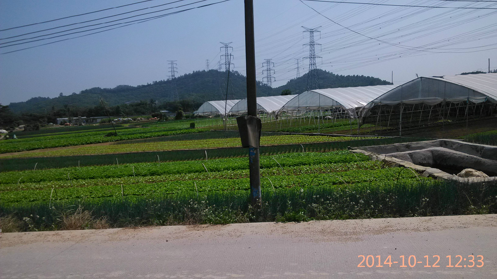 阿婆髻山下的觀光農業