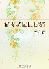 貓捉老鼠鼠捉貓