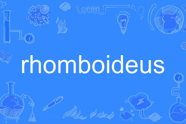 rhomboideus