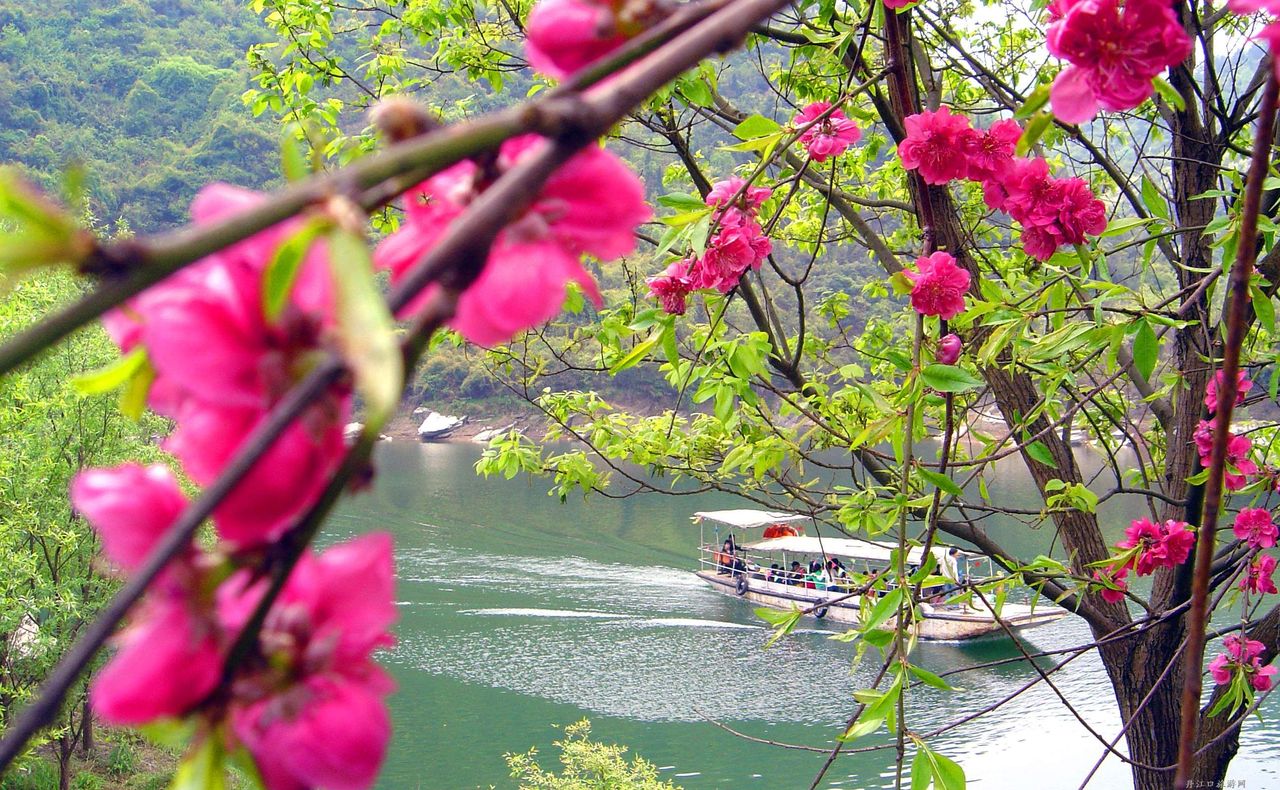 銀夢湖度假村