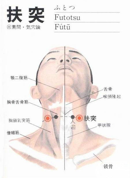 扶突(扶突穴)