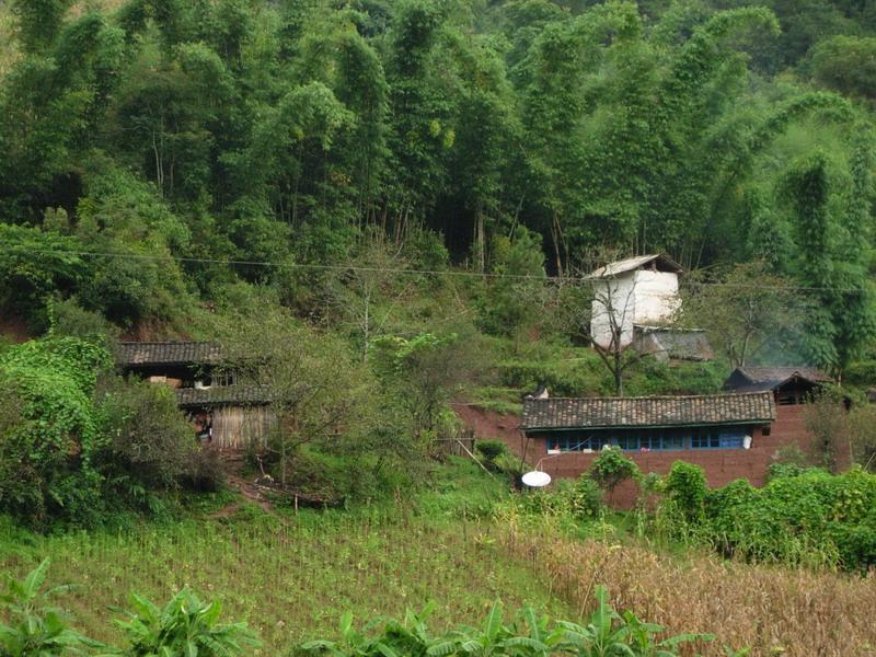 響水自然村(雲南保山昌寧縣更戛鄉田頭村委會響水自然村)