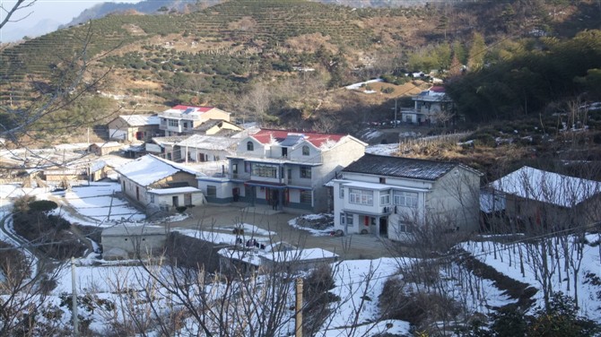 沈橋村(安徽銅陵市順安鎮下轄村)