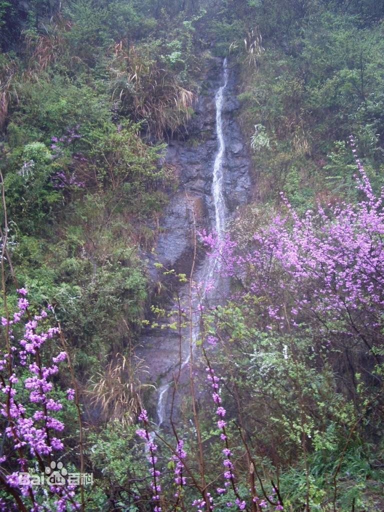 里井村