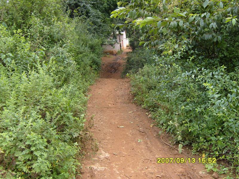 石板橋村(雲南尋甸縣功山鎮下轄村)