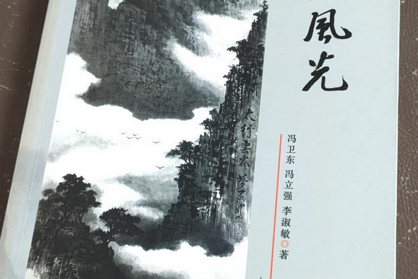 無限風光(2007年大眾文藝出版社出版的圖書)