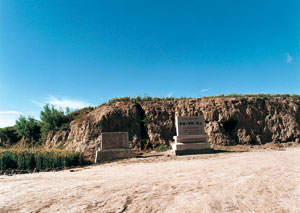 桐林田旺遺址