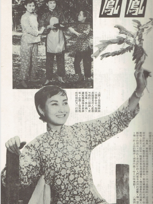 鳳鳳(1965年張美瑤主演的電影)