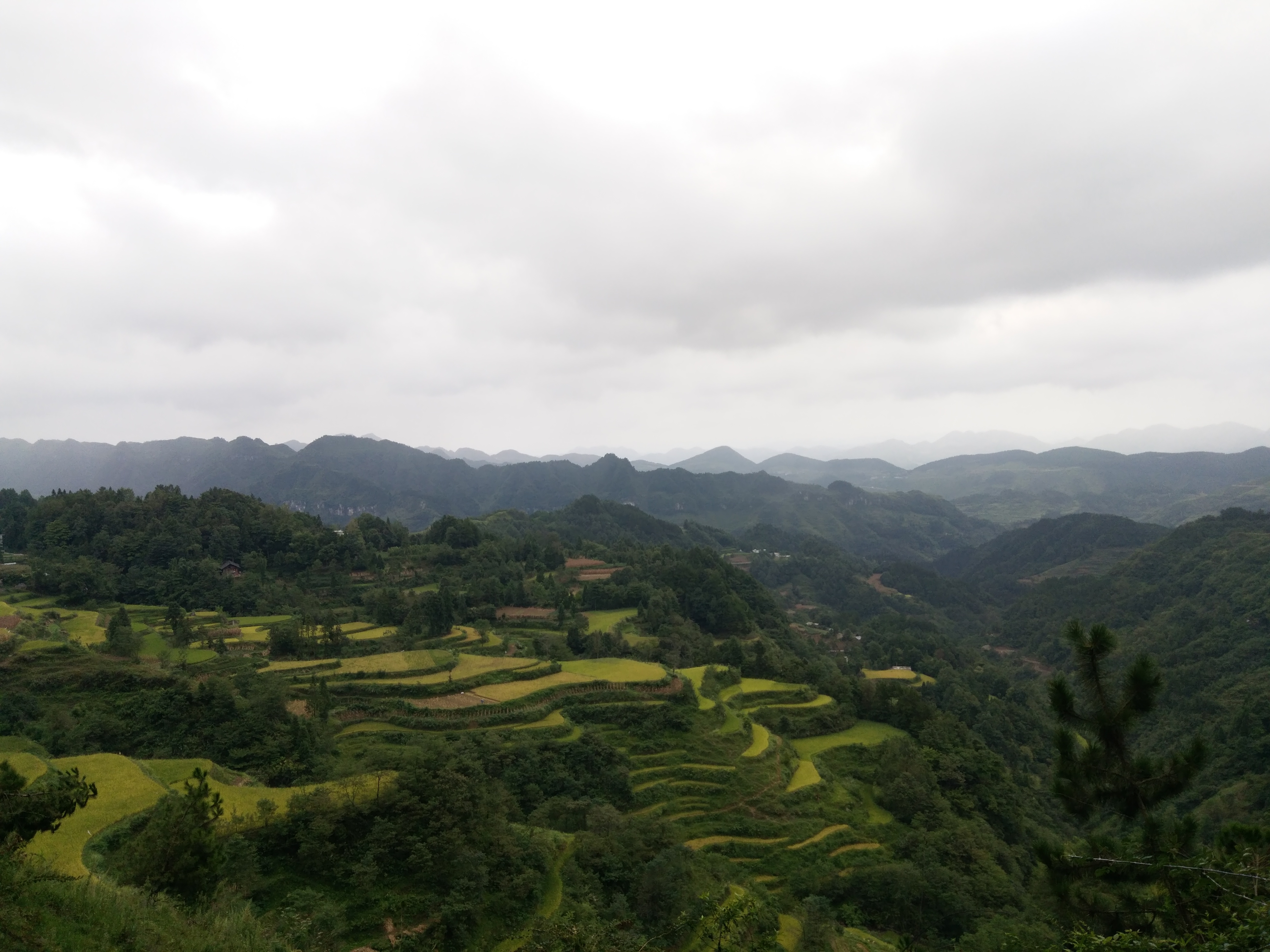 重華村