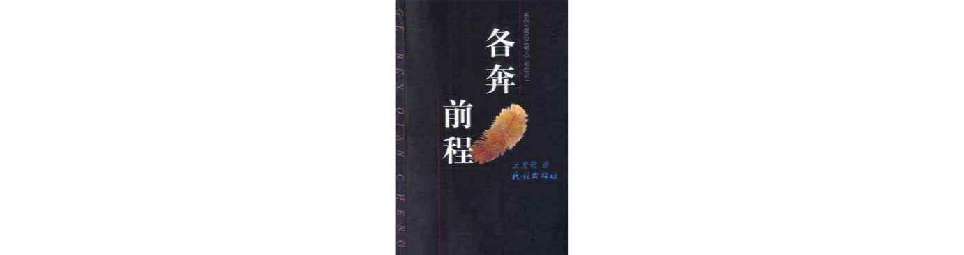 各奔前程(王慧敏小說)