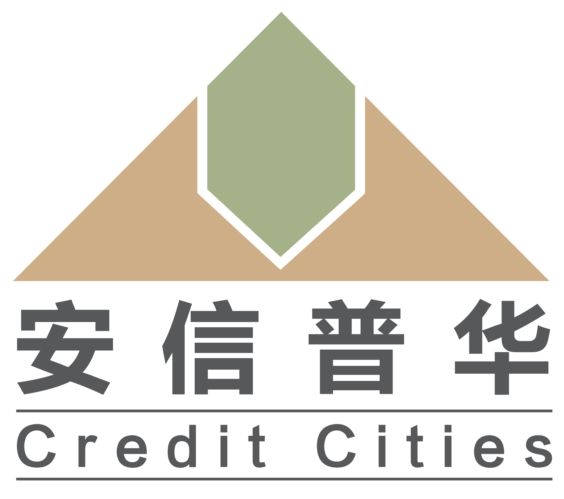 安信普華logo