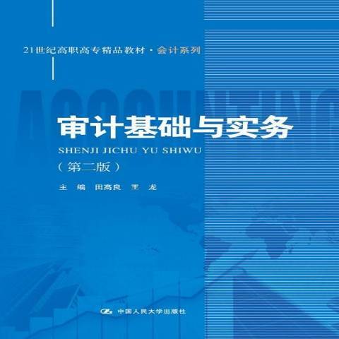 審計基礎與實務(2015年中國人民大學出版社出版的圖書)