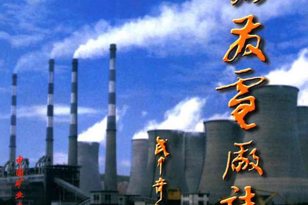 徐州發電廠志(1970-1995)