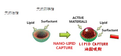 捕獲脂體技術