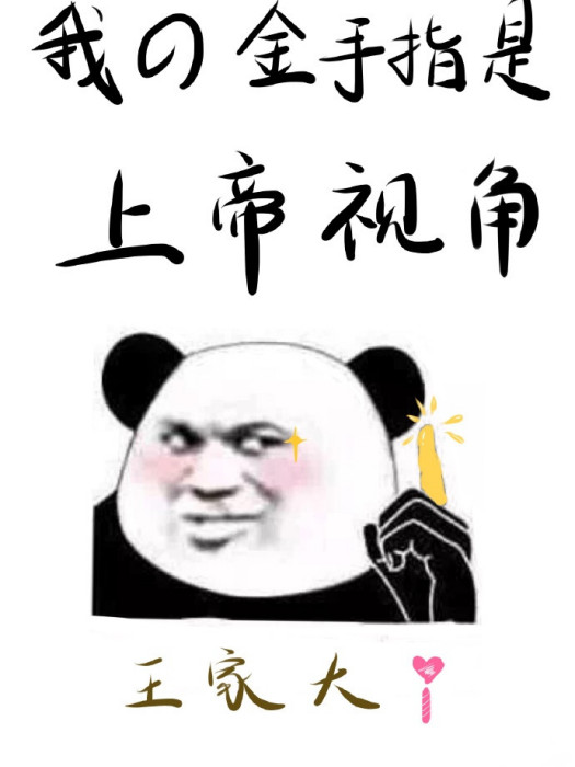 我的金手指是上帝視角