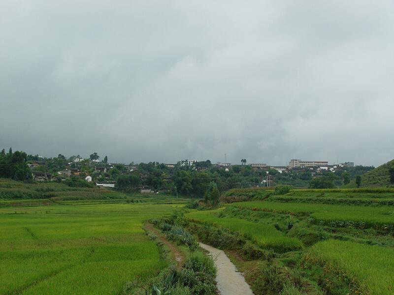 小王寨村