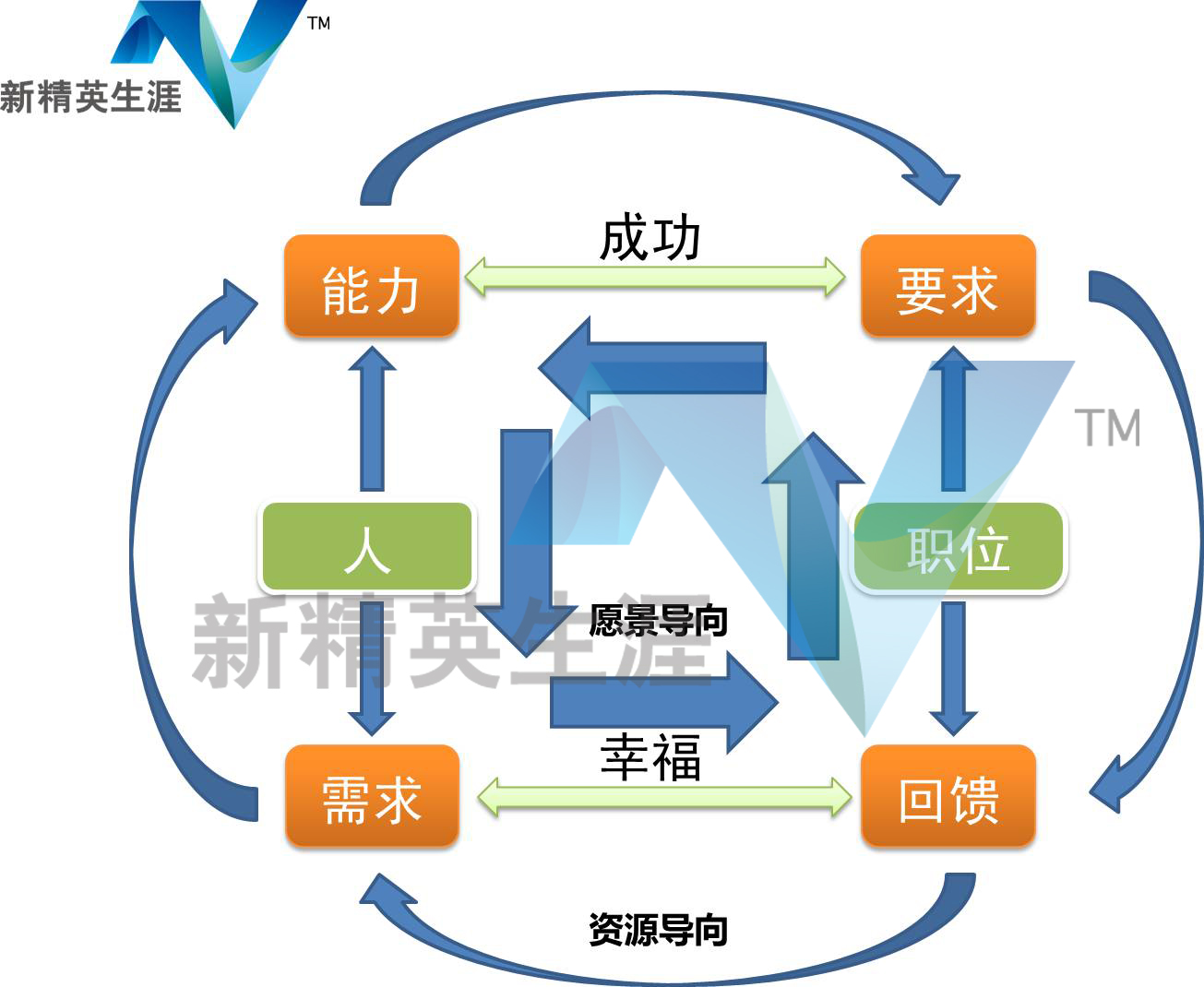 CD模型