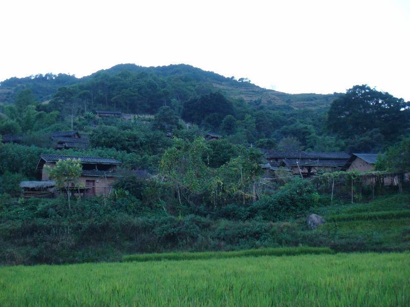 普豆自然村