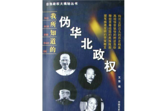 日偽政權大揭秘叢書