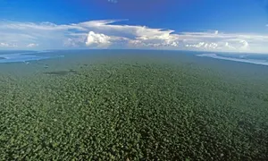 全球最不可替代的生物多樣性保護區