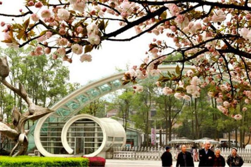 南山植物園薔薇園