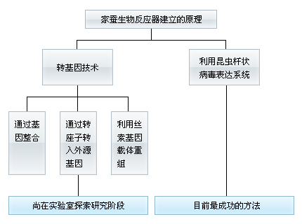 家蠶生物反應器