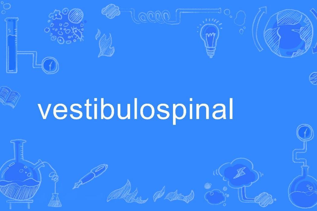 vestibulospinal