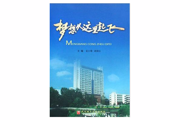 夢想從這裡起飛(2008年武漢理工大學出版社出版的圖書)