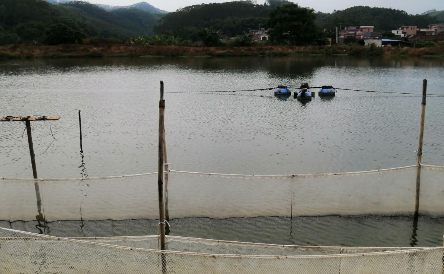 廣東原藍水產養殖有限公司