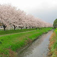 桶川市