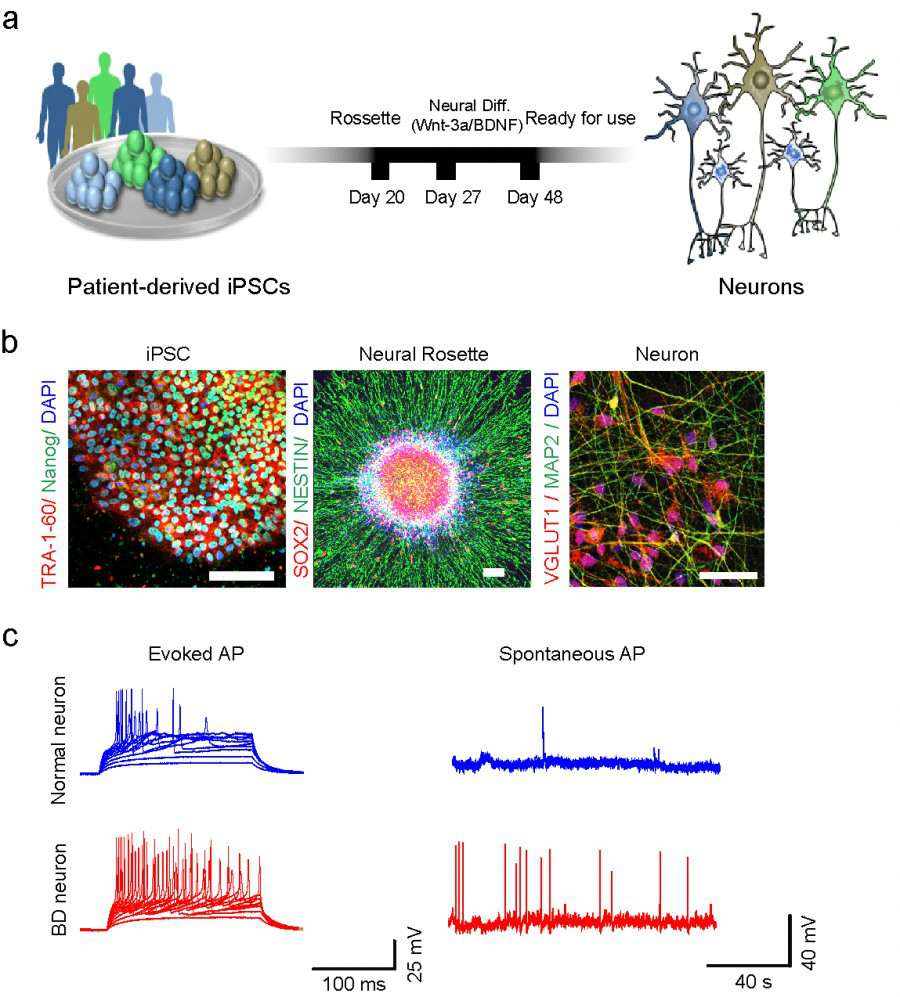 RNA-seq基因表達分析