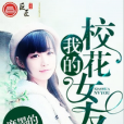 我的校花女友(磨墨的著長篇小說)