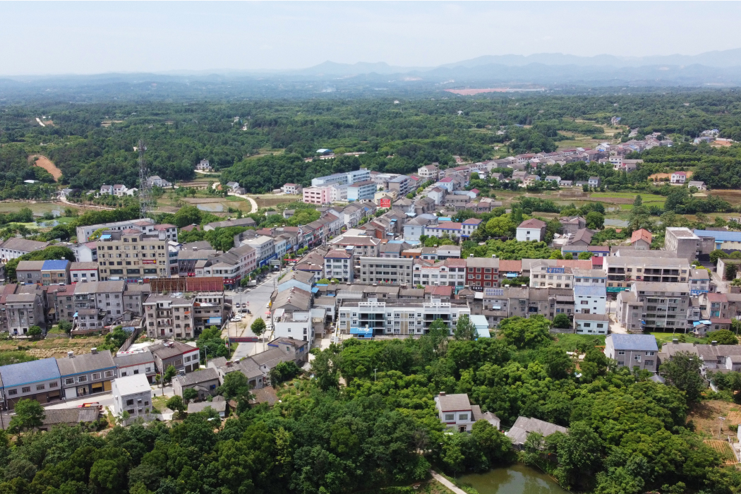 陳家店社區