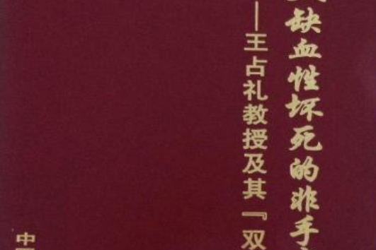 股骨頭缺血性壞死的非手術治療(2001年中國醫藥科技出版社出版的圖書)