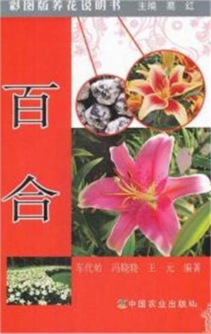 百合 （彩圖版養花說明書）