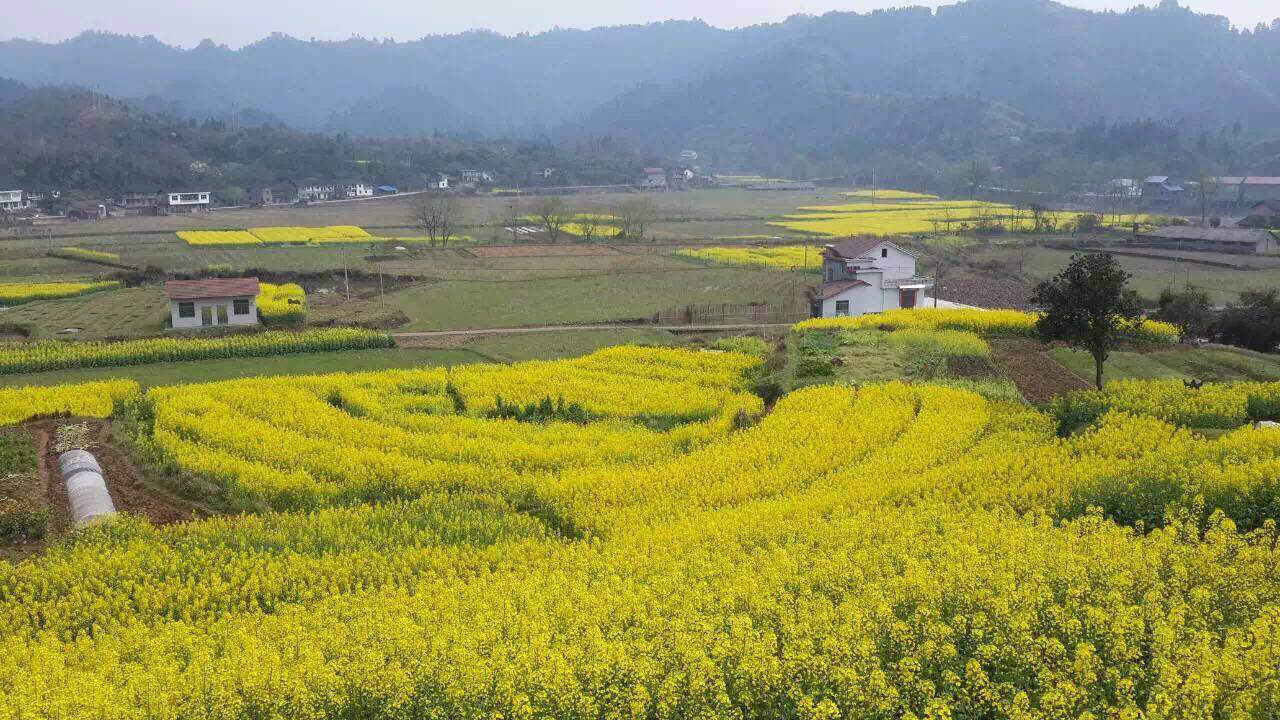 安崗村