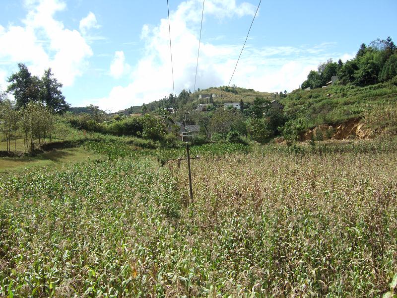 東曲凡村