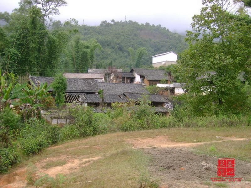 茶園自然村(雲南省臨翔區邦東鄉下轄村)