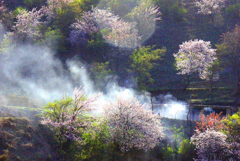 大春(農耕時段)