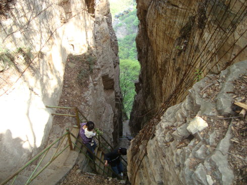 神農山