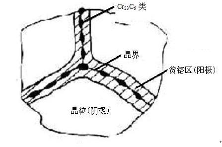 晶間腐蝕