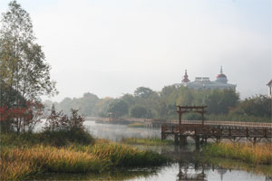 廻龍灣國家森林公園