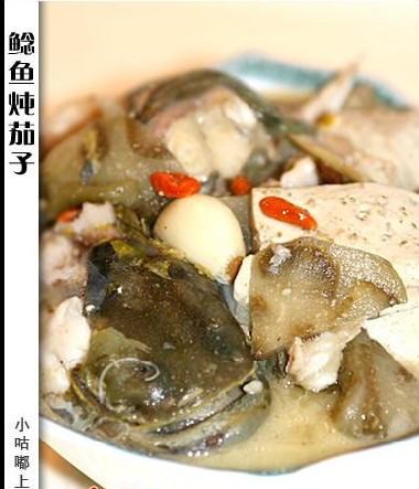 鯰魚燉茄子