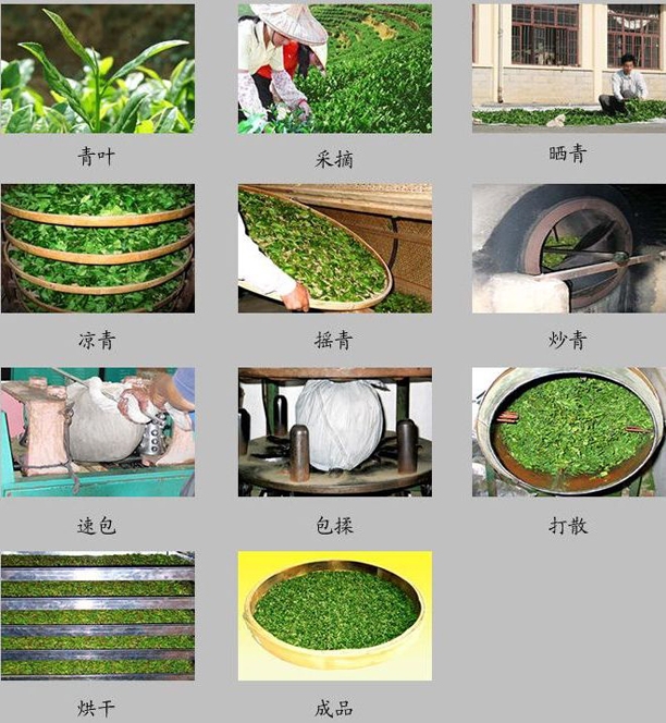 福建省弘盛茶業有限公司