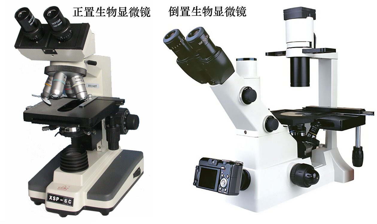 生物顯微鏡