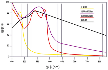 雷射(受激輻射光放大)