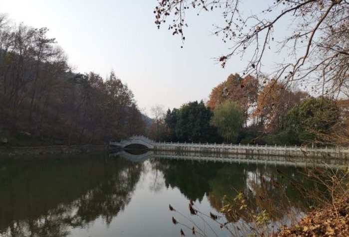 安徽東庵省級森林公園